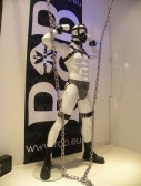<p>Pub Eva y Adan en Amsterdam</p>