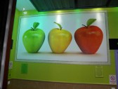 <p>Pub Eva y Adan Nueva decoracion entrada</p>