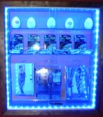 <p>Pub Eva y Adan Mini Sex.Shop</p>