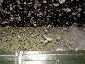 <p>Pub Eva y Adan Noche de Espuma</p>
