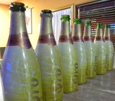 <p>Pub Eva y Adan Noche Romantica</p>