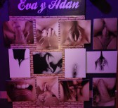 Imágen de la galería del Pub Eva y Adan