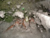 Noche de Espuma
