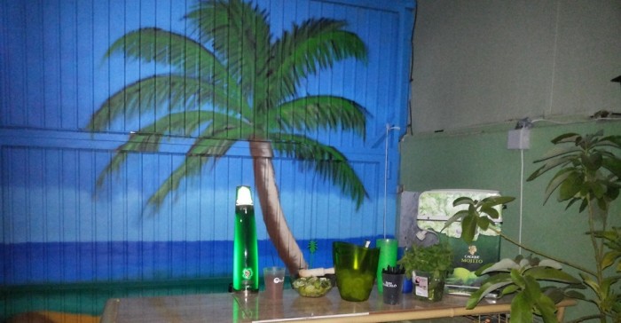 1ª Noche Mojito 2015